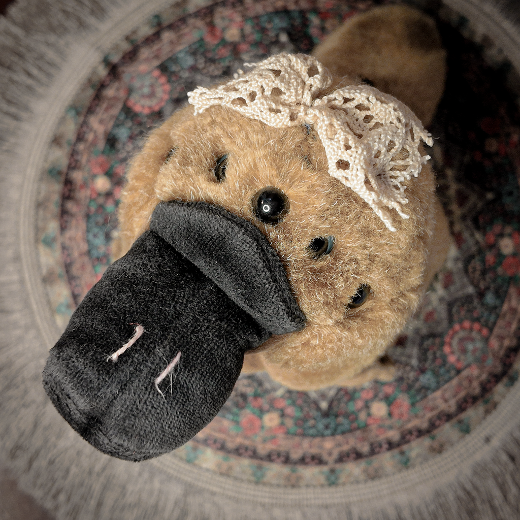 Key Hider 01 🗝 Ornitorinco multi-occhio