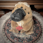 Key Hider 01 🗝 Ornitorinco multi-occhio