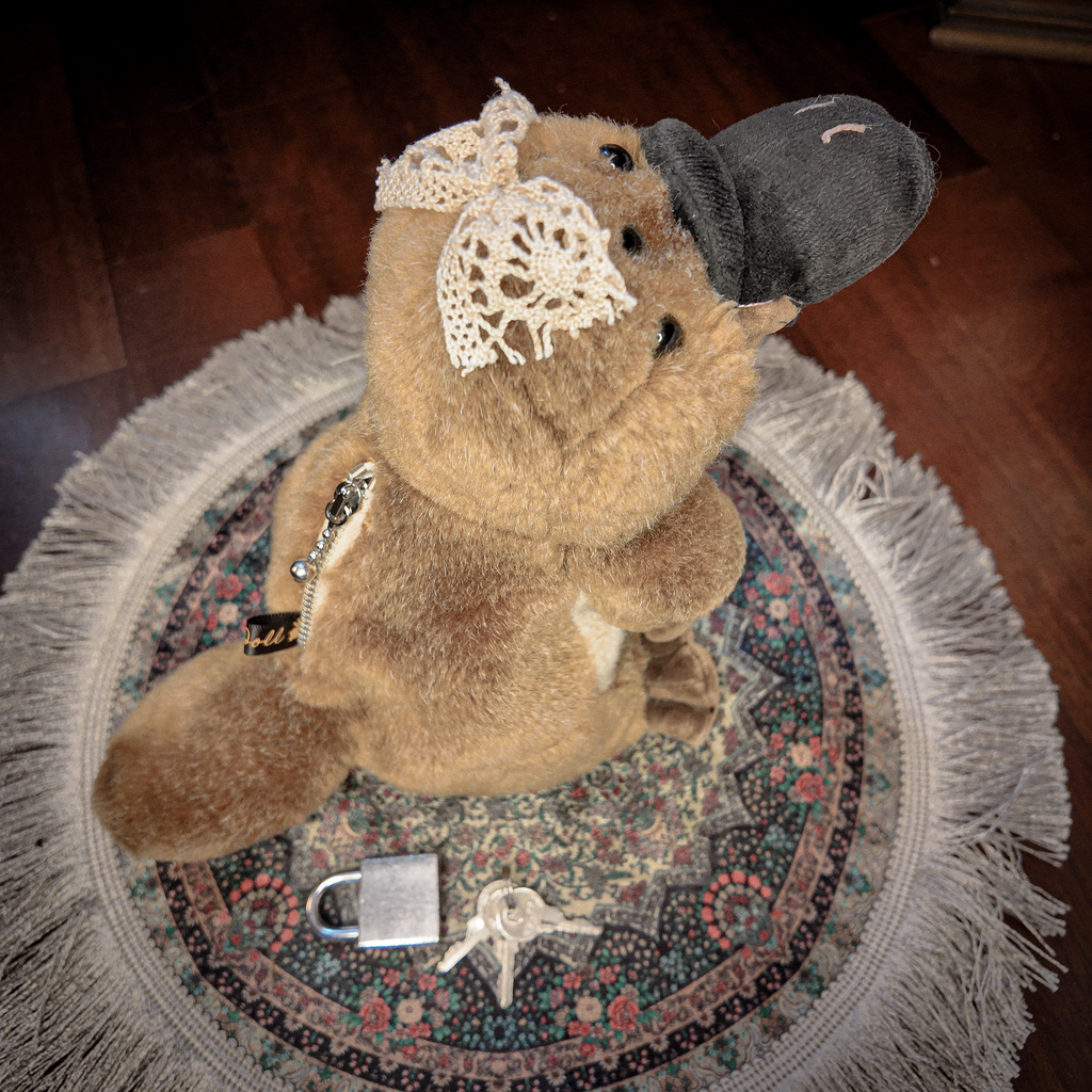 Key Hider 01 🗝 Ornitorinco multi-occhio