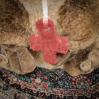 Key Hider 01 🗝 Ornitorinco multi-occhio