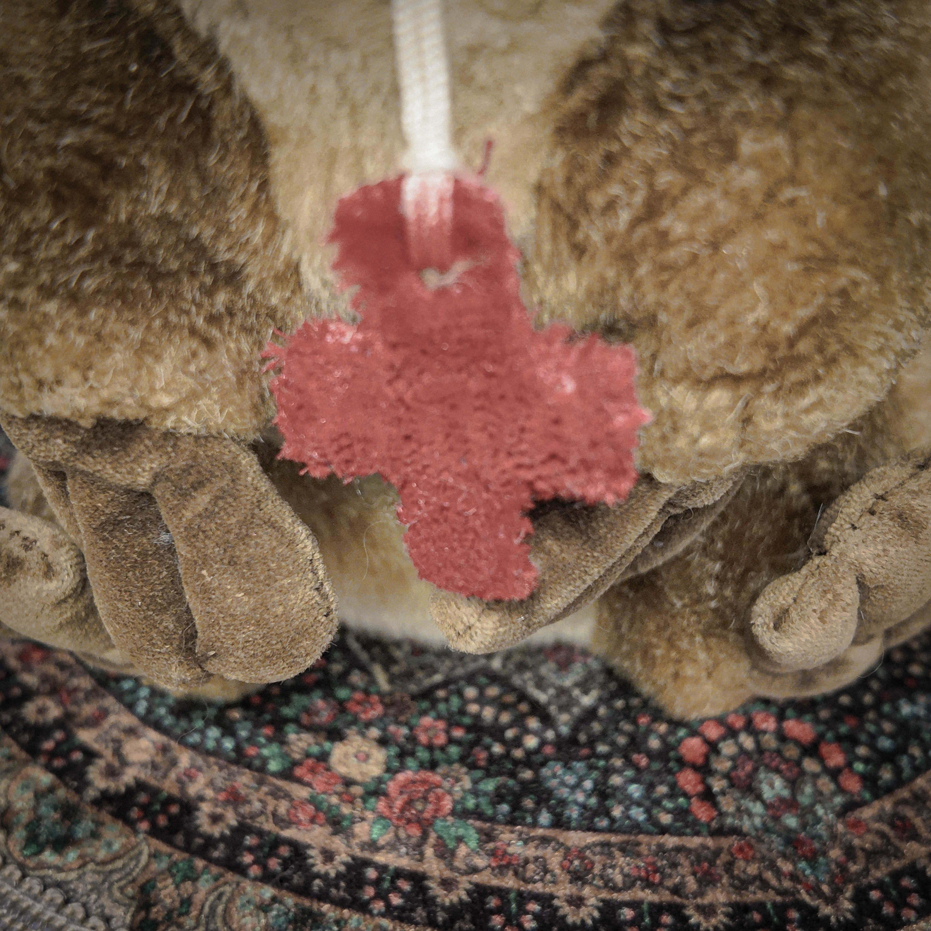 Key Hider 01 🗝 Ornitorinco multi-occhio