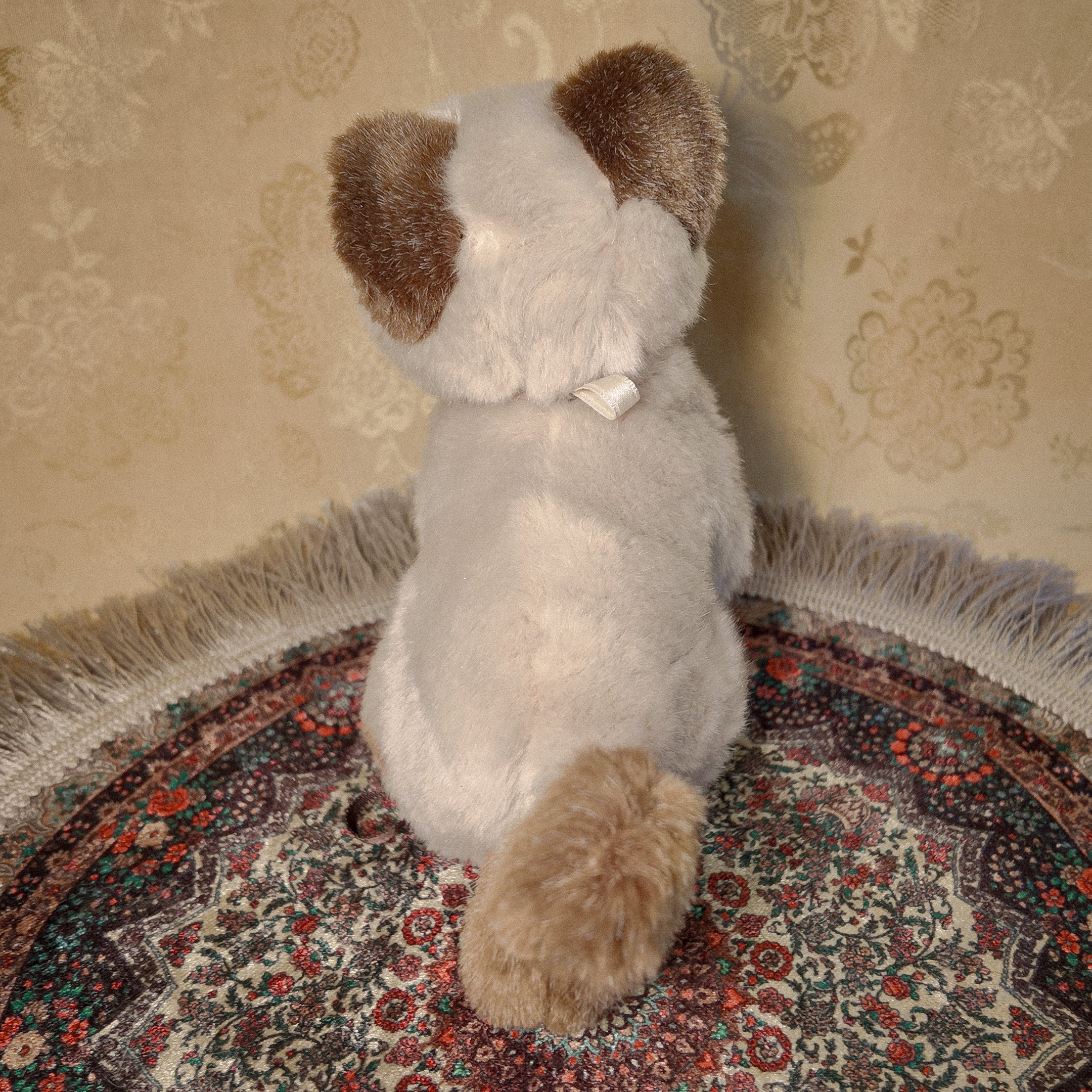 Key Hider 02 🗝 Hide and Seek Kitten