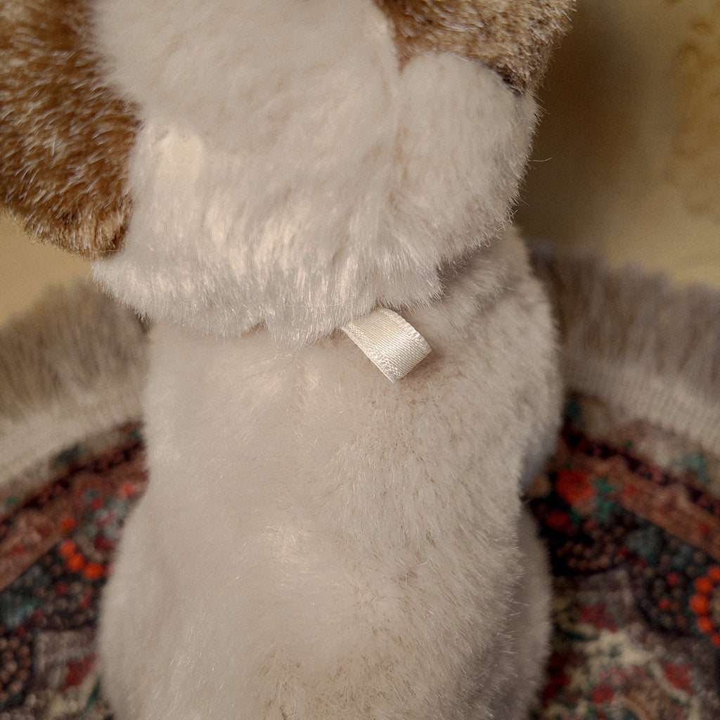 Key Hider 02 🗝 Hide and Seek Kitten