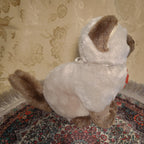 Key Hider 02 🗝 Hide and Seek Kitten