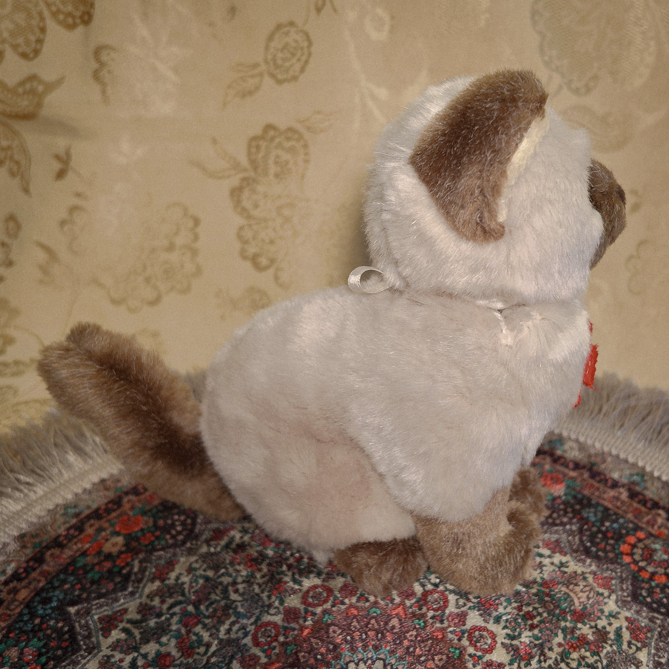 Key Hider 02 🗝 Hide and Seek Kitten