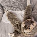 Borsa di Peluche ❣ Bradipo Multi-occhio