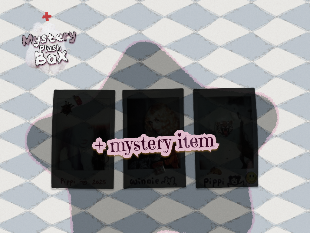 ❝Winnie❞ Mystery Plush Box #2