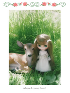 Find your name - FREE Template