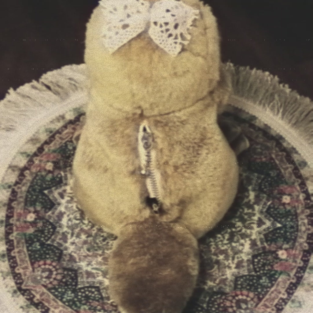 Key Hider 01 🗝 Ornitorinco multi-occhio